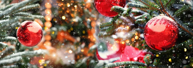 MERRY CHRISTMAS & TO A HAPPY PROSPEROUS NEW YEAR