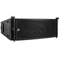 Axiom AX2065P Dual 6.5” Array Element