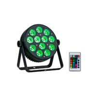 Event Lighting 12x8W LED RGBW Parcan with IR Remote